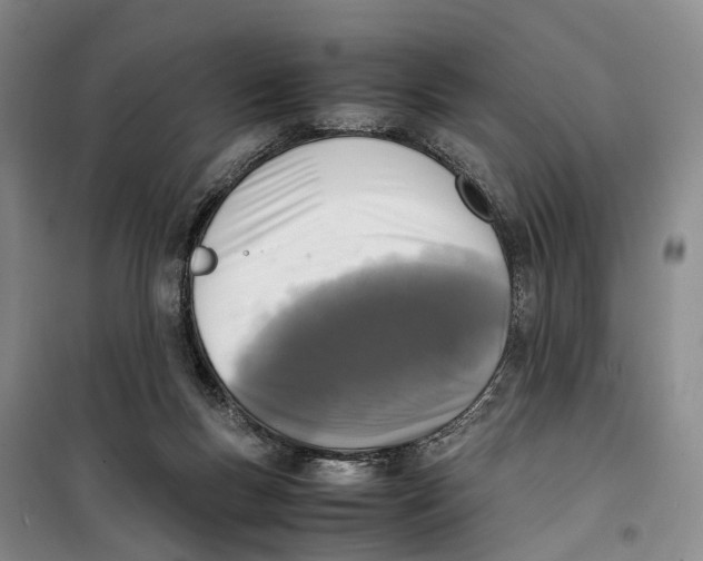 X0000099460167200805301542