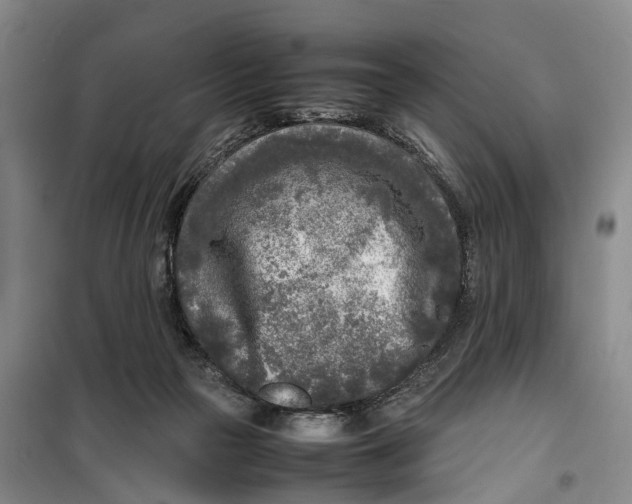 X0000099460169200805301542