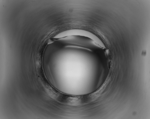 X0000099460170200805301542