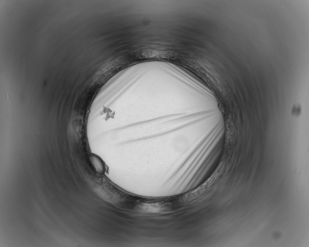 X0000099460171200805301542