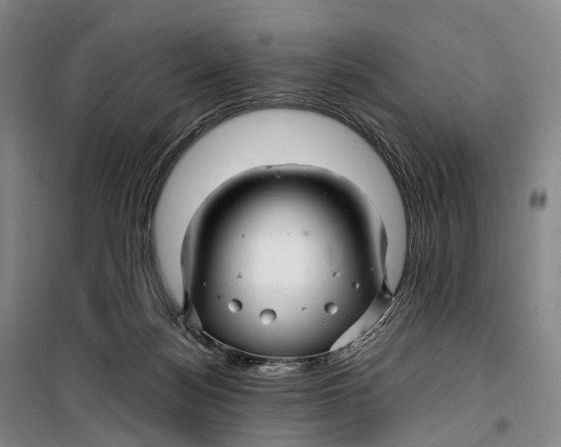 X0000099460172200805301542