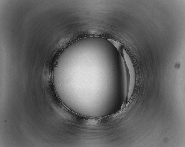 X0000099460176200805301542