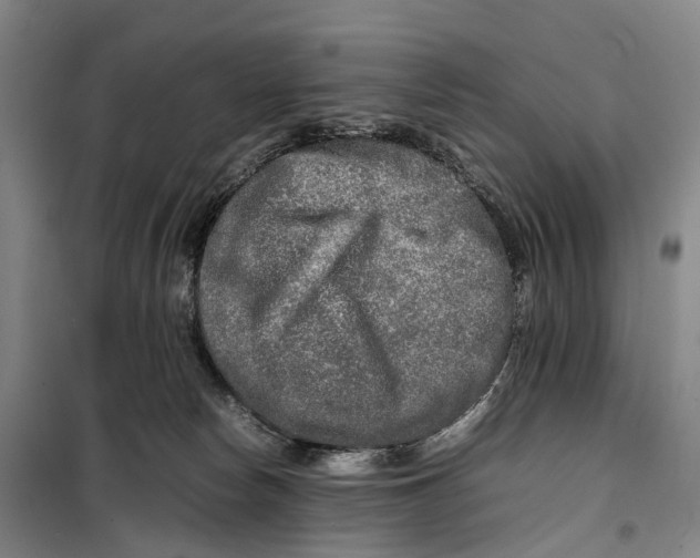 X0000099460178200805301542