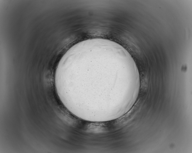 X0000099460179200805301542