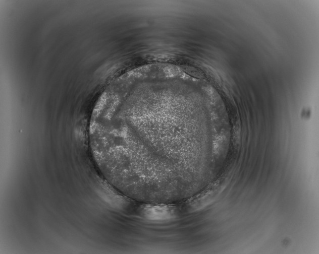 X0000099460181200805301542