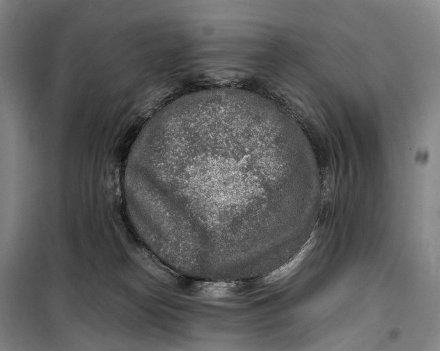 X0000099460182200805301542