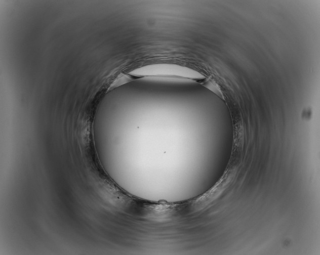 X0000099460184200805301542