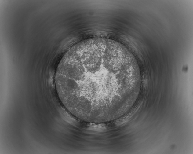 X0000099460185200805301542