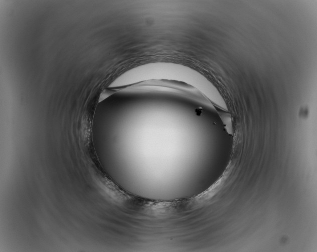 X0000099460186200805301542