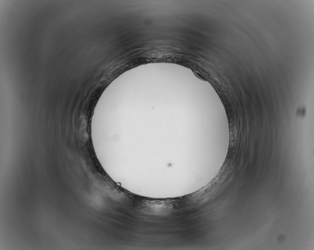 X0000099460187200805301542