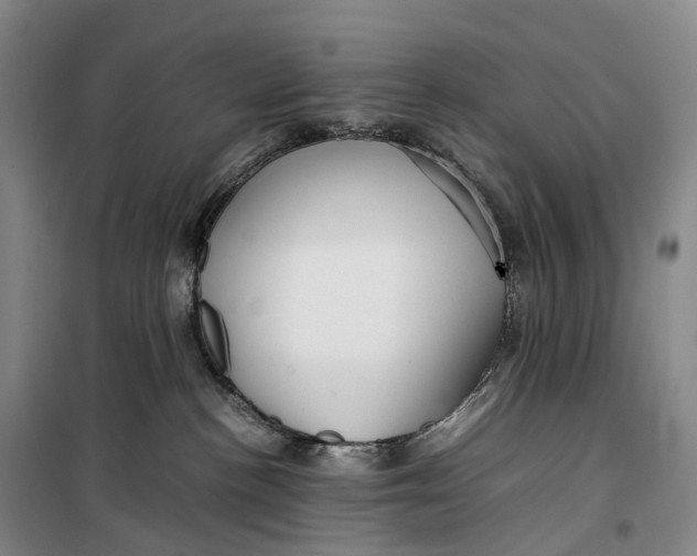 X0000099460188200805301542