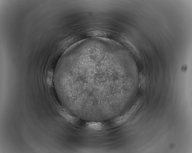 X0000099460189200805301542