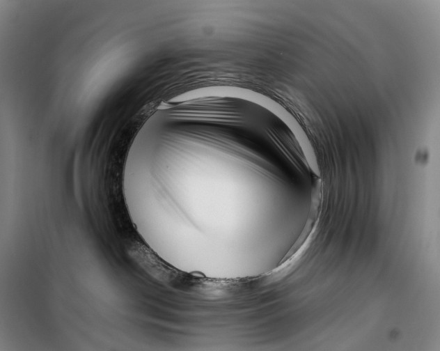 X0000099460190200805301542