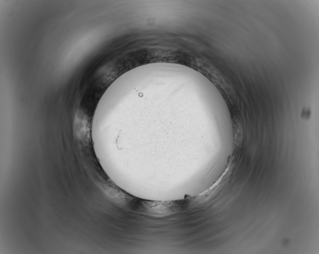 X0000099460191200805301542