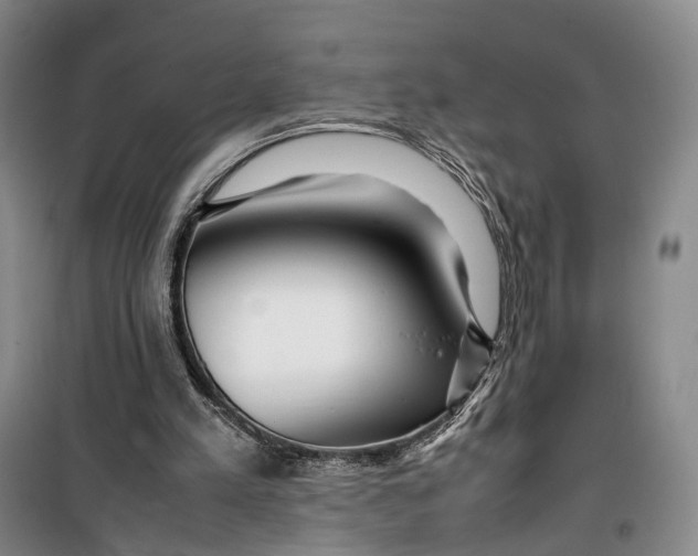 X0000099460197200805301541