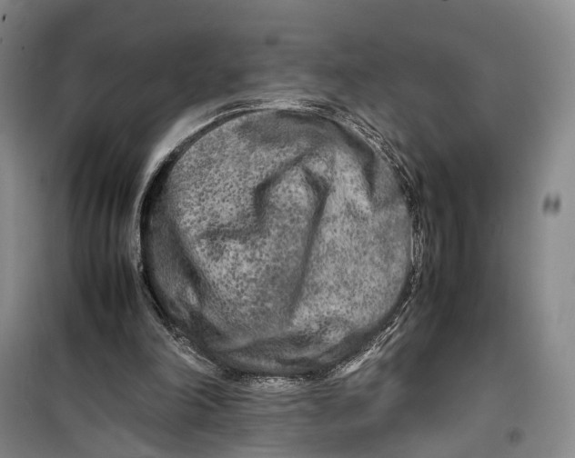 X0000099460198200805301541