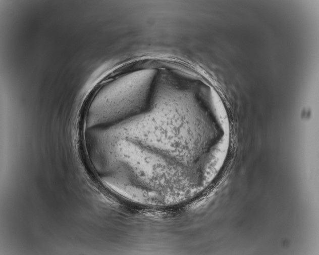 X0000099460199200805301541