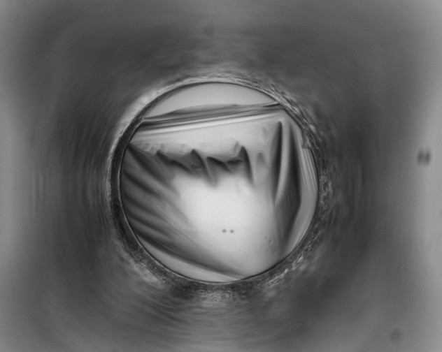 X0000099460200200805301541