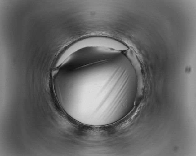 X0000099460201200805301541