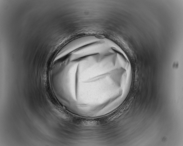 X0000099460202200805301541