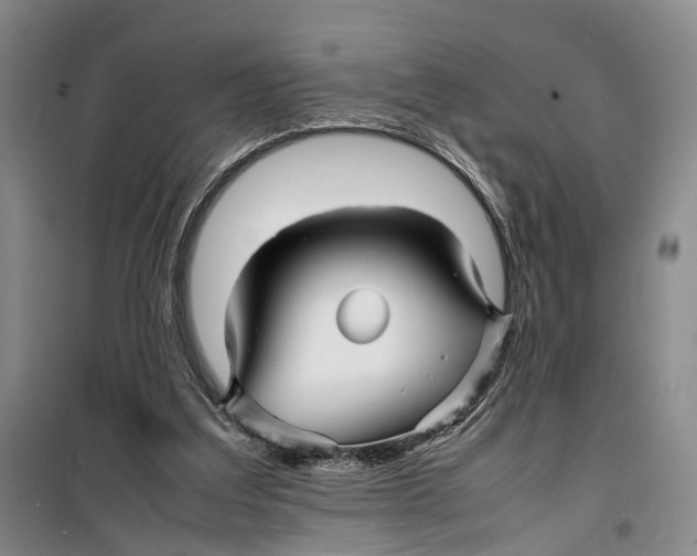 X0000099460203200805301541