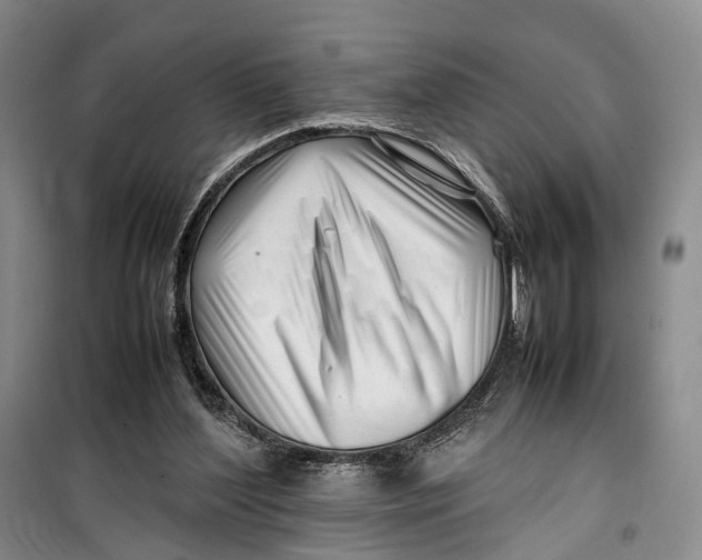 X0000099460204200805301541