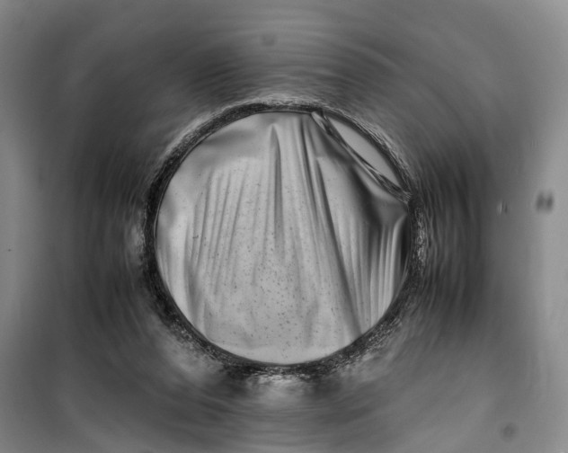 X0000099460208200805301541