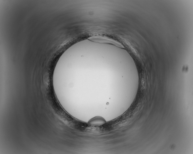 X0000099460211200805301541