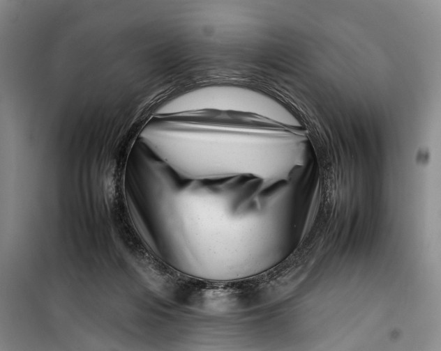 X0000099460216200805301541