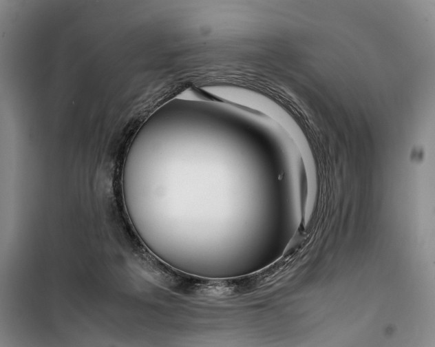 X0000099460217200805301541