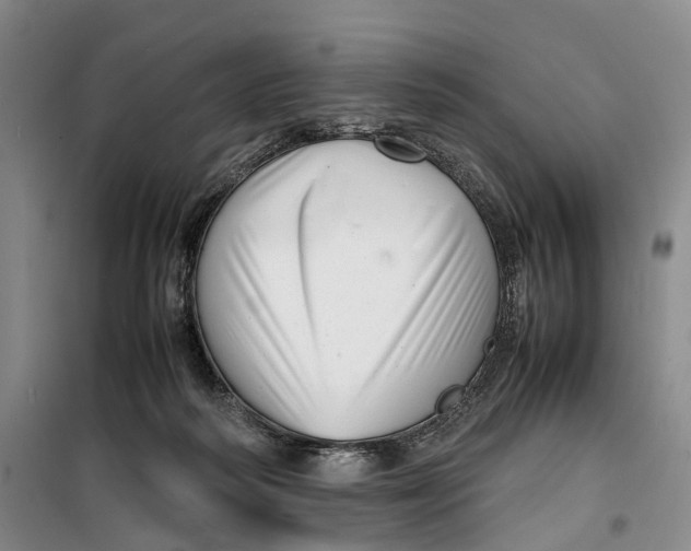 X0000099460218200805301541