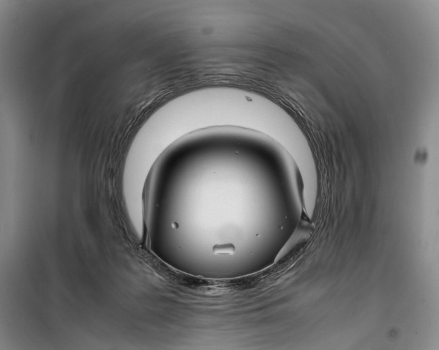 X0000099460219200805301541