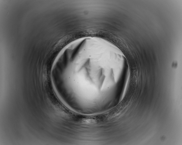 X0000099460220200805301541