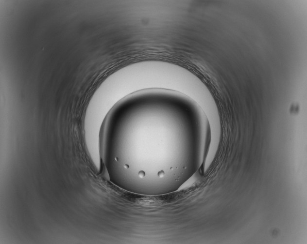 X0000099460221200805301541