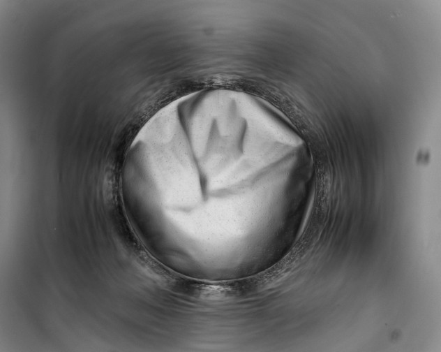 X0000099460222200805301541