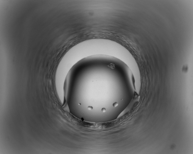 X0000099460225200805301541