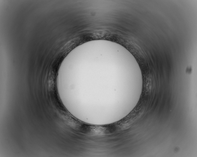 X0000099460226200805301541