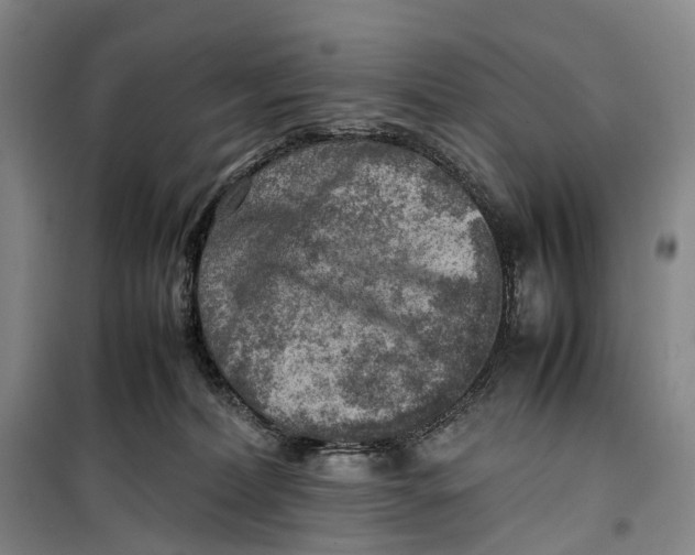 X0000099460228200805301541