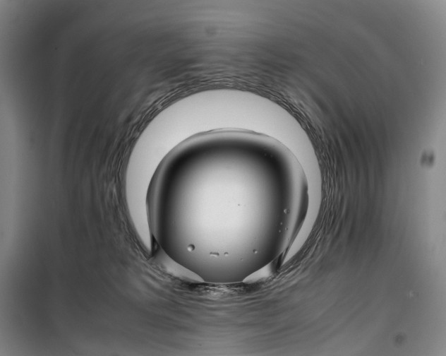 X0000099460229200805301541