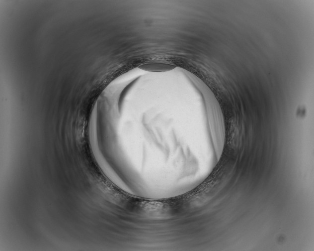 X0000099460230200805301541