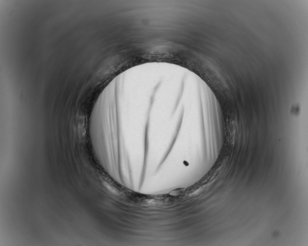 X0000099460232200805301541