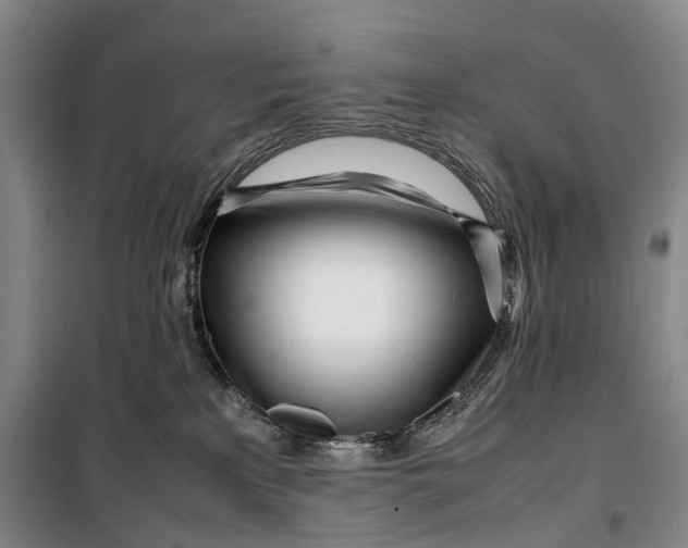 X0000099460233200805301541