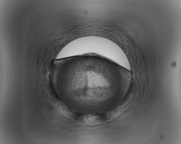 X0000099460235200805301541