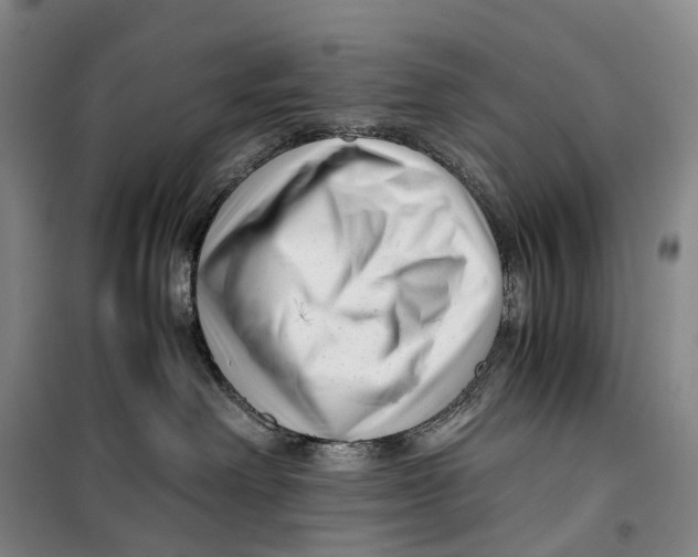 X0000099460238200805301541