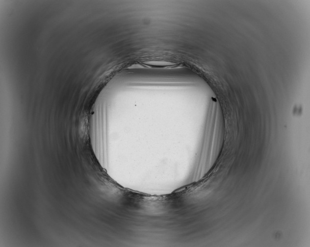 X0000099460240200805301541