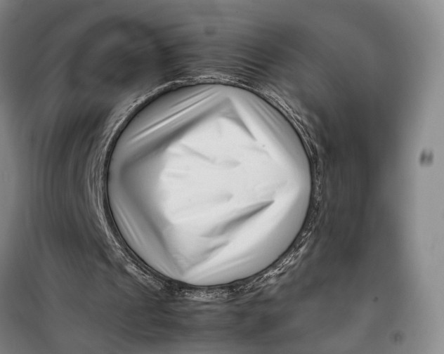 X0000099460241200805301540