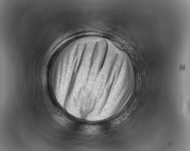 X0000099460247200805301540