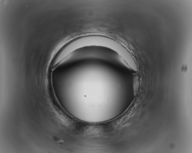 X0000099460248200805301540