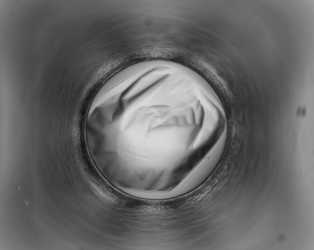 X0000099460250200805301540