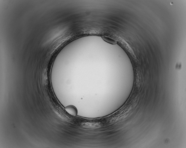 X0000099460251200805301540